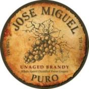 JOSE MIGUEL PURO LLC logo